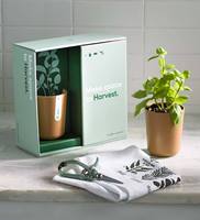 Caja de Regalo de Cartón Biodegradable y Botella de Vidrio Ecológica con Diseño de Lujo Personalizado
