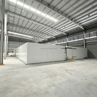 Système de stockage frigorifique de grande capacité de 10 000 tonnes, chambre froide sur mesure pour supermarché, cuisine centrale, chaîne du froid