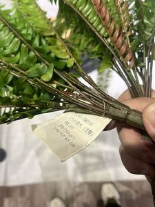 EG-J227 tinggi 48cm 13 garpu daun lateks dekorasi toko kopi dekorasi dalam ruangan luar ruangan daun Persia buatan - Product Image 3