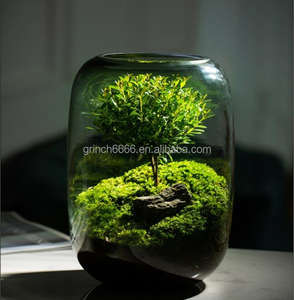 <span class=keywords><strong>Terrarium</strong></span> en verre 2023 plantes botaniques vase globe <span class=keywords><strong>terrarium</strong></span> kit produits de jardin - Product Image 4