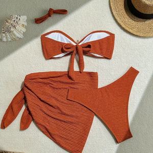 Traje de Baño Brasileño de Lujo para Mujer, Talla Grande, Bikini con Push-Up, Ropa de Playa - Product Image 3