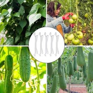 DaringFish Gancio di Supporto per Pomodori e Corda di Supporto per Cetrioli 10m, Corda per Piante Sospese per Giardinaggio Domestico, Set di Qualità da Esportazione - Product Image 3
