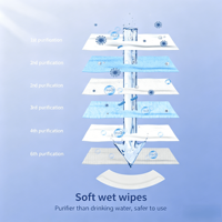 Lingettes humides jetables non tissées de haute qualité, écologiques, pour le nettoyage domestique, 80 lingettes, vente en gros OEM