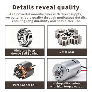 Moteur CC à balais de charbon haute vitesse 24V 30V 36V 16000 tr/min 795 tr/min pour secoueur d'oliviers - Product Image 2