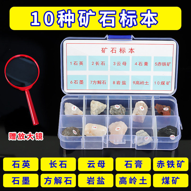 10 types mineral specimen box-with magnifying glass