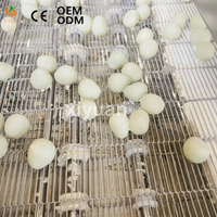 Machine d'enrobage au chocolat en acier inoxydable durable pour la production de barres chocolatées, gaufrettes, pâtisseries, fruits et légumes