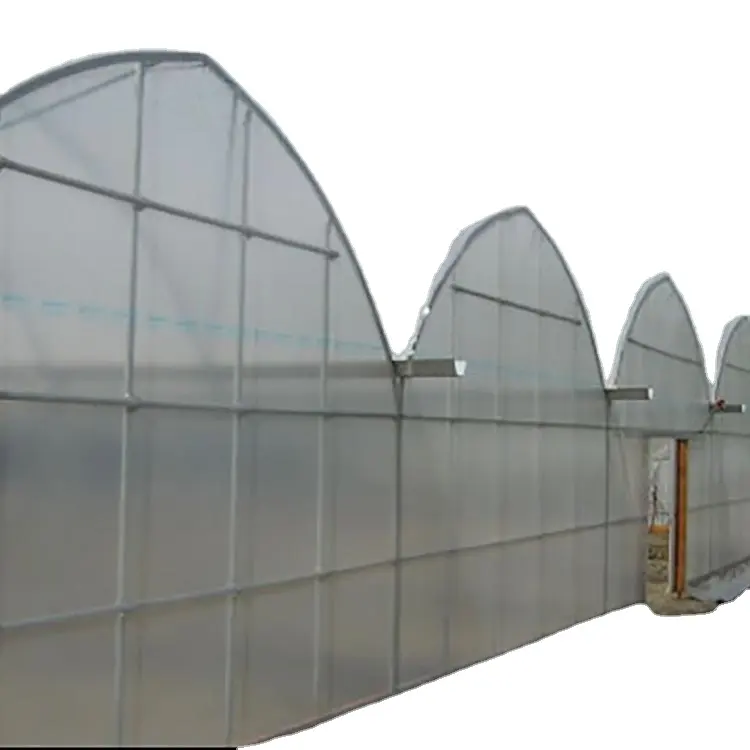 Skyplant a buon mercato industriale multi span serra pellicola di plastica serra