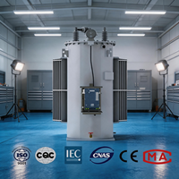 Régulateur de tension automatique immergé dans l'huile certifié ISO9001 CE 19,9KV 1000KVA Monophasé 60Hz