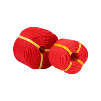 Corde en plastique PE à 3 brins de différentes couleurs, fabriquée en Chine, toutes tailles