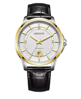 Montre mécanique automatique pour homme en acier inoxydable, étanche 5ATM, affichage analogique de la date, verre saphir, fermoir papillon, cadeau