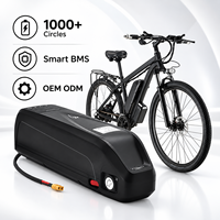 Batterie de Vélo Électrique en Gros 48V 20Ah 52V 30Ah, Pack de Batteries Lithium-Ion pour Remplacement de Vélo Électrique, Fabrication OEM Personnalisée