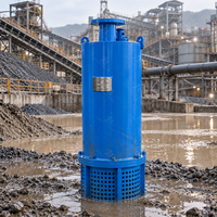 Pompe centrifuge submersible à agitateur pour le déshydratation des mines et les bassins de rejet