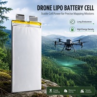 Sel Baterai Lipo Kelas Tinggi 80000mAh 3.7V untuk Drone/UAV Harga Pabrik 400Wh/kg Sel Baterai Semi Solid State