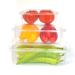PET Rectangle foldable clear disposable plastic fresh fruit clamshell food container