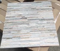 Fournisseurs de carreaux de revêtement de mur extérieur en pierre naturelle de type Z