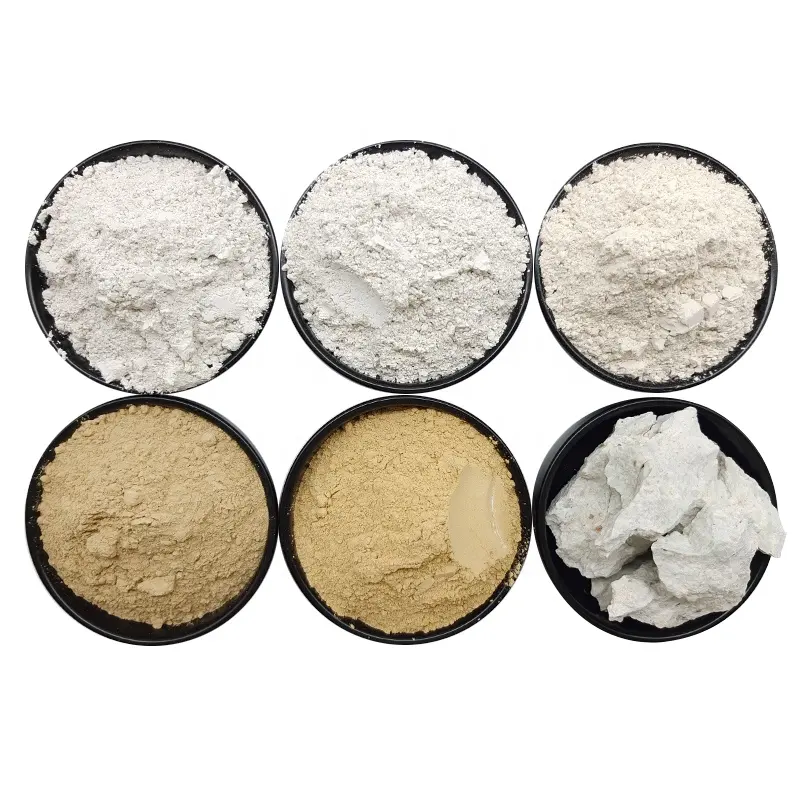 Bentonite organique pour la peau des dents, 10g, poudre de dents, argile de montmorilite naturelle, épaississante de rhodium, Bentonite au Calcium