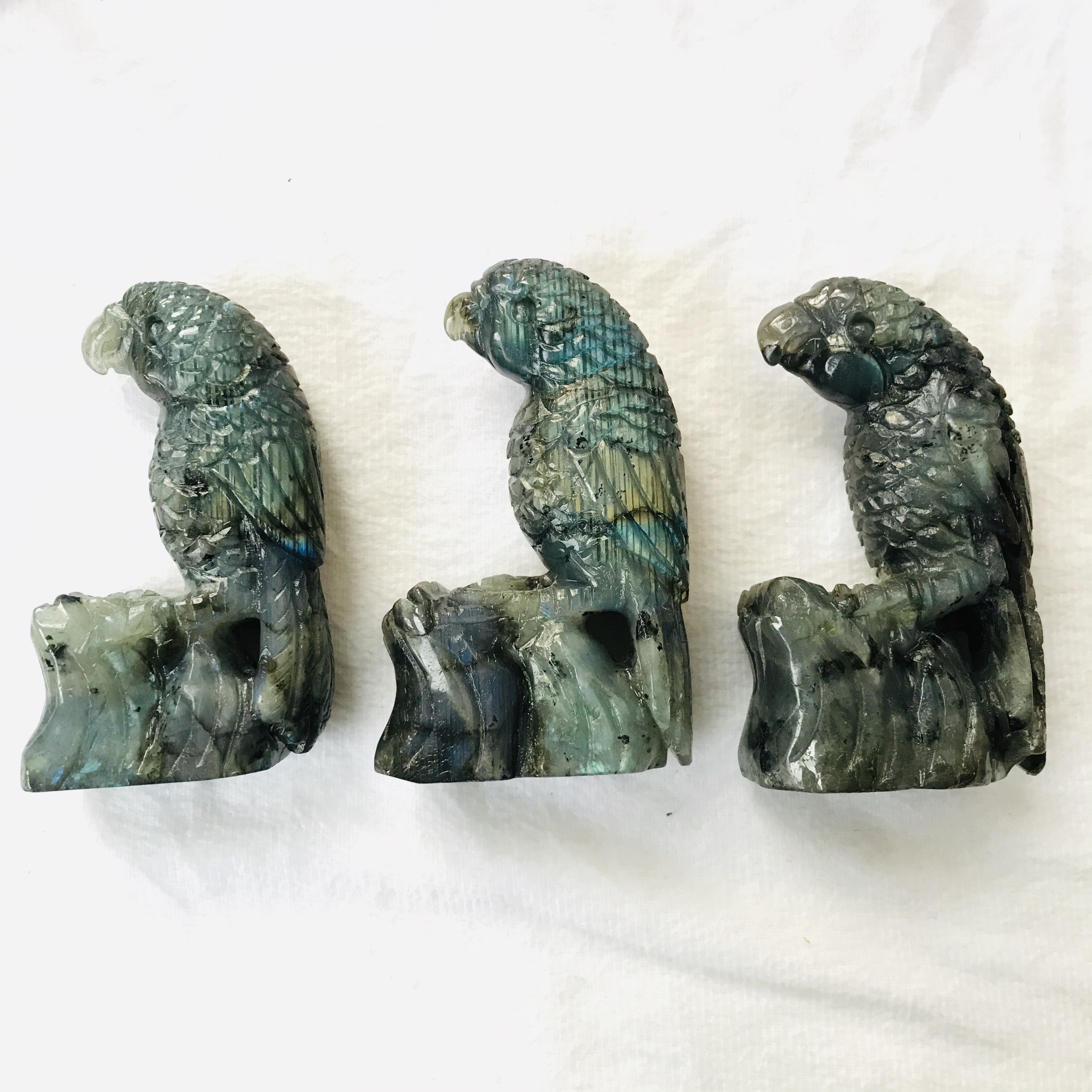 Pappagallo labradorite