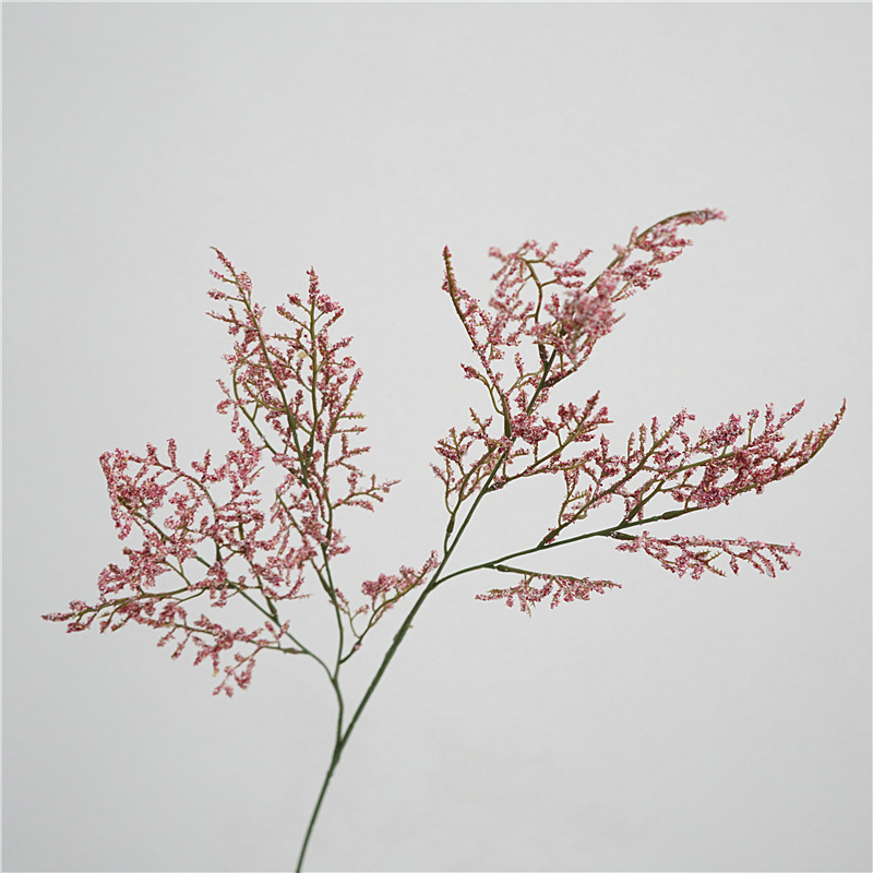 Petit amoureux herbe-rose