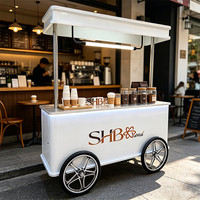 Carrito de Exhibición Metálico de Lujo, Kiosco Portátil para Joyería, Café, Helados, Eventos, con Toldo, Ruedas, Iluminación LED, OEM