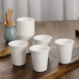 Vasos desechables de pulpa de caña de azúcar de 201-300 ml, compostables, para bebidas calientes, uso doméstico y de oficina - Product Image 2