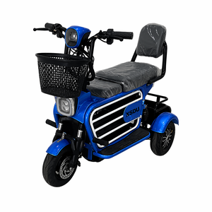 Tricycle électrique 48v 250w à deux places, moteur avant, tricycle multifonction, moto 48v, vélo électrique <span class=keywords><strong>pliable</strong></span> à 3 roues - Product Image 3
