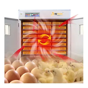 20000 البيض التلقائي معدات لتربية الدواجن البيض حاضنة
