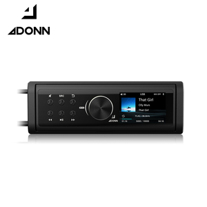 <span class=keywords><strong>Amplificateur</strong></span> DSP pour <span class=keywords><strong>voiture</strong></span>, lecteur tout-en-un, Bluetooth, OTG, lecteur USB, sortie optique coaxiale 2RCA - Product Image 2