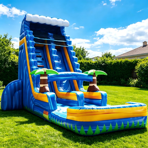 Tobogán Acuático Inflable <span class=keywords><strong>de</strong></span> Grado Comercial con Gran Piscina <span class=keywords><strong>de</strong></span> Chapoteo y Dos Toboganes para Negocios <span class=keywords><strong>de</strong></span> <span class=keywords><strong>Alquiler</strong></span> Comercial - Product Image 1