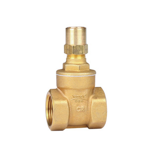 Guangdong Magnesium Special Brass Gate Valve 1/2 Inch Single Gate Locking For Water And Other Media - Product Image 1