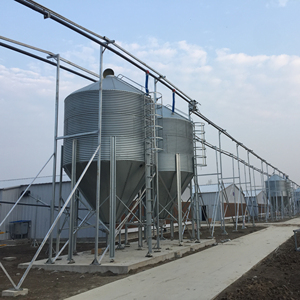 Tự Động Gia Cầm Gà Động Vật Lợn Cá Gia Súc Ngựa Thức Ăn Silo - Product Image 2