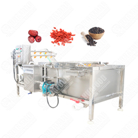 Automatische Groentewasmachine Commerciële Groente-En Fruitwasmachine Grote Groentewasmachine