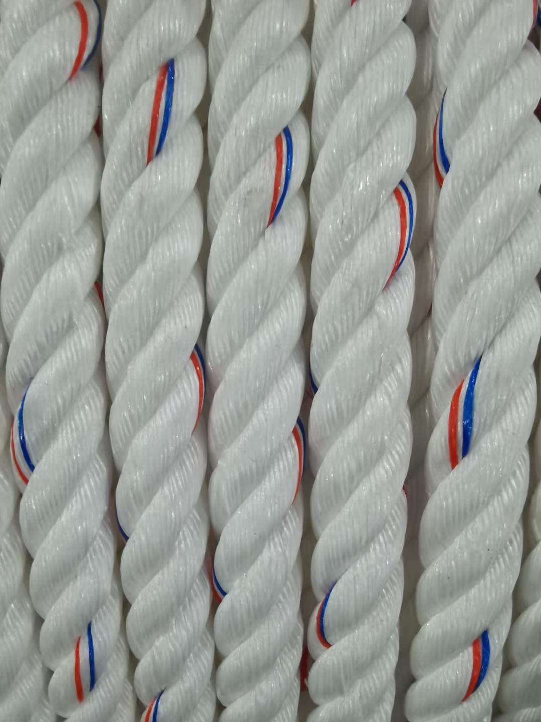 PP PE hemp rope making machine/agricultural baler production line