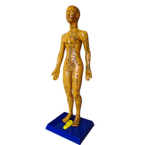 60 सेमी उत्कीर्ण मानव एक्यूपंक्चर मेरिडियन मॉडल, पारंपरिक चीनी चिकित्सा शिक्षण मॉडल - Product Image 2