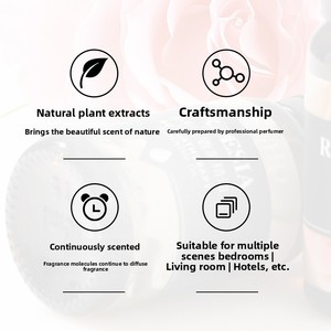 NPS 10ML Set minyak esensial aromaterapi udara segar larut Air botol minyak mawar teh Peppermint organik ramah lingkungan - Product Image 6