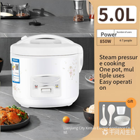 Cuiseur à riz personnalisé pour 3-4 personnes, adapté à un usage domestique, en dortoir, mini cuiseur à riz, pot antiadhésif, cuiseur à riz
