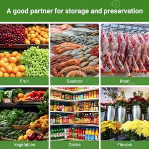 Chambre Froide Modulaire Conteneurisée pour Congélation de Tomates et Poissons Frais, Système de Stockage Réfrigéré pour Aliments, Fabriqué en Chine - Product Image 6