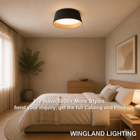 Plafonnier Minimaliste Moderne à LED Individuel avec Éclat Premium pour Chambre Principale, Bureau et Maison Sophistiquée