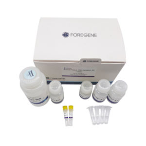 مجموعة عزل الحمض النووي والأكسجين النووي, مجموعة عزل الحمض النووي والأكسجين النووي ، استخراج الحمض النووي ، طريقة تدوير عمود PCR - Product Image 2