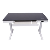 Table de levage électrique, bureau à domicile, Interface Usb, chargement sans fil, double moteur, bureau, ordinateur