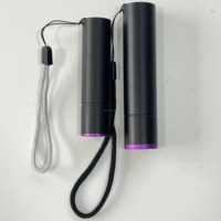 Mini lampe UV portable avec batterie au lithium intégrée 365 nm ultraviolette pour la détection des éléments fluorescents