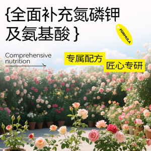 Solution nutritive complète pour les orchidées Phalaenopsis, dilution rapide, liquide nécessaire pour favoriser la floraison - Product Image 2