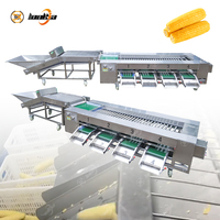 Industriële maïskolven zoete aardappel automatische roller sorteermachine fruit- en groentesorteermachine industriële verwerking