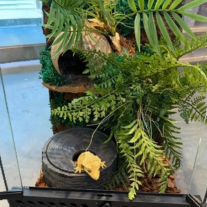 Cueva de Resina para Reptiles, Escondite para Geckos y Lagartos, Toca Artificial para Escorpiones, Serpientes y Arañas, Decoración para Terrarios y Hábitats de Reptiles - Product Image 3