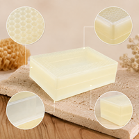 Boîte de stockage de miel de qualité alimentaire pour cadres de ruche, cassette à miel, conteneur, outils d'apiculture