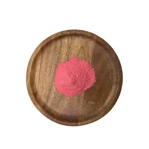 热销针叶樱桃果实提取物粉优质纯天然甜樱桃粉樱桃香粉