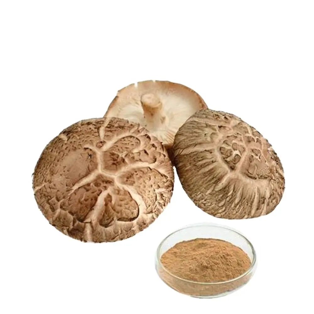 Wholesale Shiitake Mushroom Extract Powder Shitake Extract