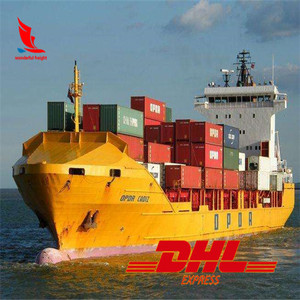 Spedizione DHL Express Internazionale Consegna Porta a Porta per Brasile Sri Lanka Colombia Perù - Product Image 5