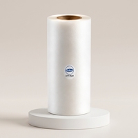 Film DTF PET en rouleau, livraison rapide directe d'usine, 60 cm x 30 cm, format A3, matériau transparent de transfert thermique pour l'impression sur vêtements