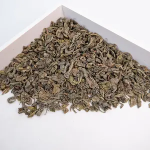 Classic tea beverage Chinese supplier factory direct sales Popular abroad gunpowder green tea 9502