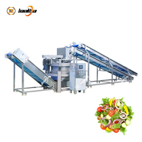 Food-Grade Continue Ontwateringsmachine Voor Vers Gesneden Fruit En Groenten, Continue Groente-Spindroger